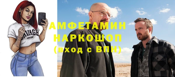 метадон Няндома