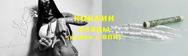 стафф Осташков